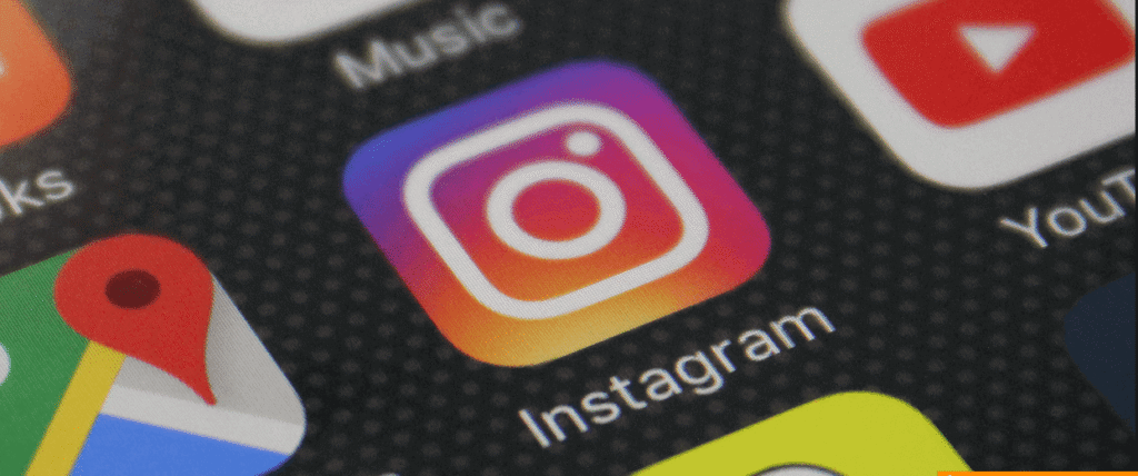 Proin vel gravida felis, sit amet accumsan risus